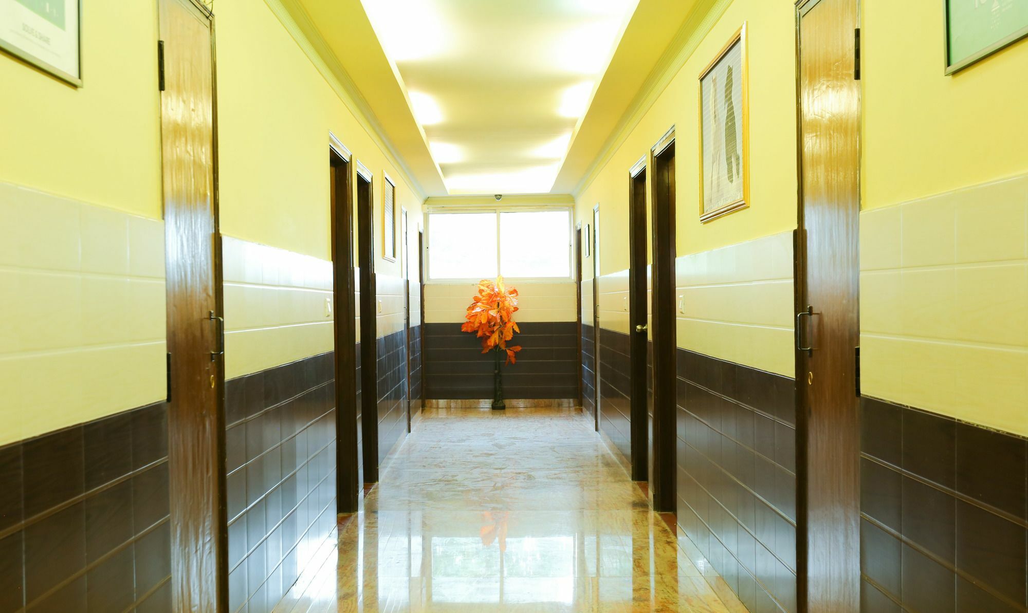 Hotel Treebo Trip Grand Regency Bangalore Esterno foto